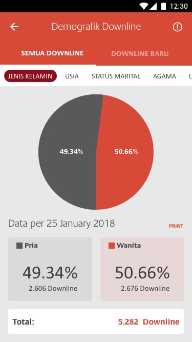 hdi statistik demografik downline jenis kelamin